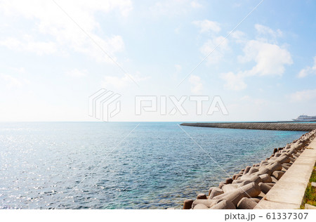 南ぬ浜町緑地公園 沖縄 石垣 南ぬ浜町緑地公園 沖縄 石垣 61337307
