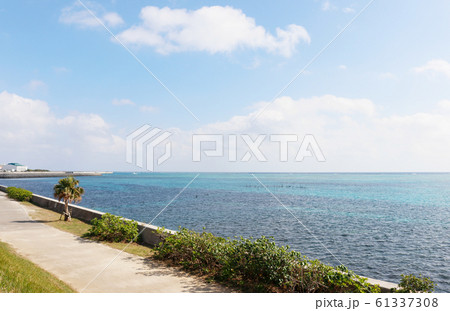 南ぬ浜町緑地公園 沖縄 石垣 南ぬ浜町緑地公園 沖縄 石垣 61337308