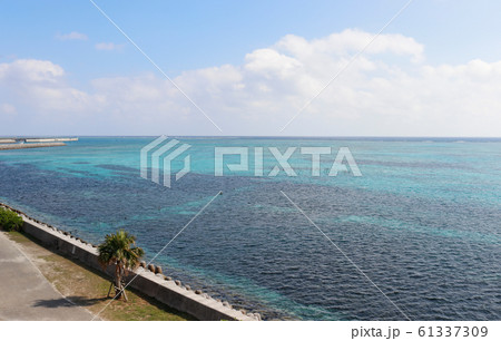 南ぬ浜町緑地公園 沖縄 石垣 61337309