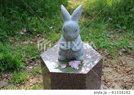 ウサギの石像^^ 2023年はうさぎ年！出雲大社には70羽近く可愛いウサギの石像があるって