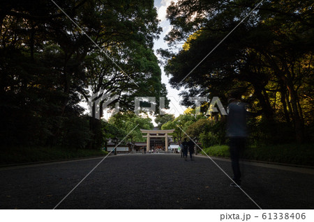 People walking through Meiji Jingu Shrine during the day 61338406