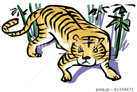 竹林の虎のイラスト素材 [61338471] - PIXTA