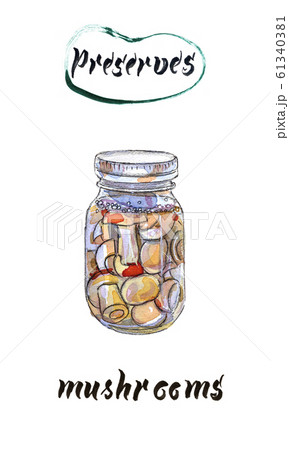 Homemade can. Glass jar of preserved mushrooms, hand drawn watercolor illustration 61340381