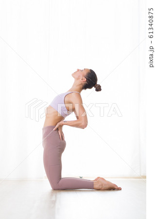 Portrait of gorgeous active sporty young woman practicing yoga in studio. Beautiful girl practice Ustrasana, camel yoga pose. Healthy active lifestyle, working out indoors in gym Portrait of gorgeous active sporty young woman practicing yoga in studio. Beautiful girl practice Ustrasana, camel yoga pose. Healthy active lifestyle, working out indoors in gym 61340875