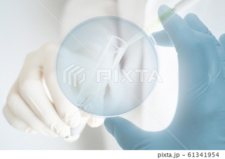 研究イメージ 研究イメージ 61341954