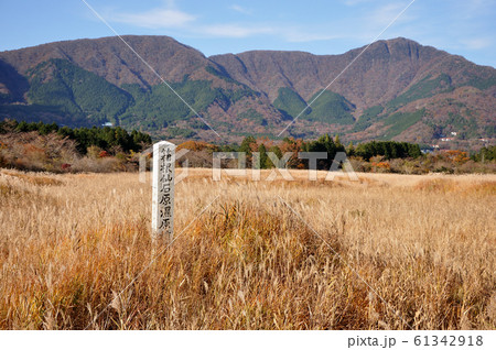 【神奈川県足柄下群】箱根仙石原湿原植物群落 【神奈川県足柄下群】箱根仙石原湿原植物群落 61342918