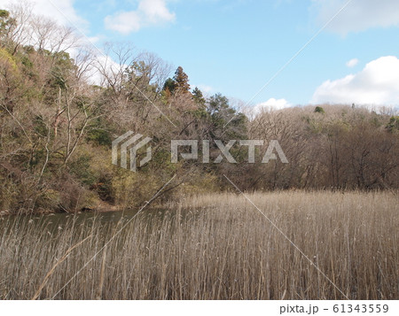 篠田池_海上の森 3 篠田池_海上の森 3 61343559