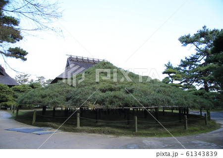 中津万象園 中津万象園 61343839