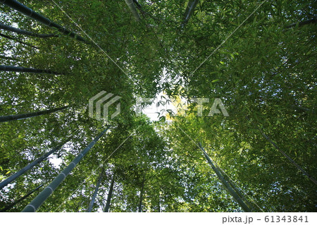 中津万象園 61343841