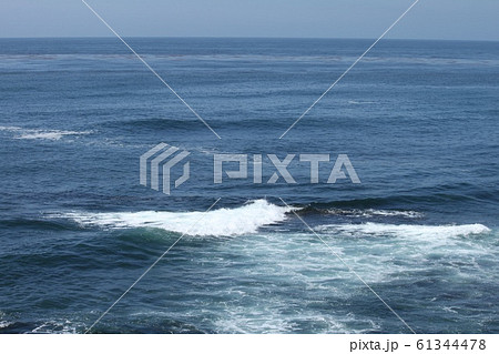 海 海 61344478