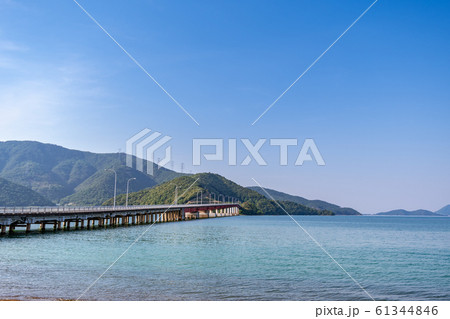 青戸の大橋 61344846