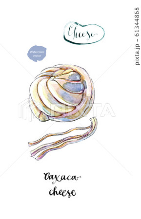 Piece of Mexican Oaxaca cheese in watercolor Piece of Mexican Oaxaca cheese in watercolor 61344868