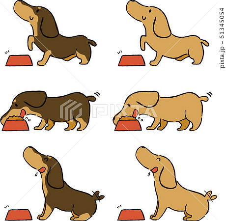 動物 犬 ダックスフンド ごはんのイラスト素材