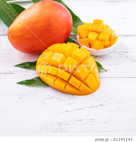 マンゴー マンゴ 白色 61345245
