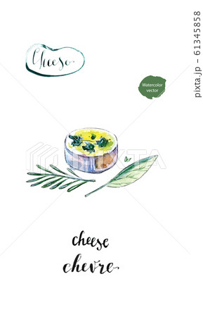 Watercolor piece of French goat cheese Chevre with leaf of basil and twig of rosemary Watercolor piece of French goat cheese Chevre with leaf of basil and twig of rosemary 61345858