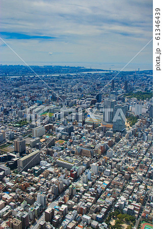 東京スカイツリーからの風景 61346439
