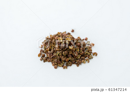 漢方 生薬 山椒 サンショウ 蜀椒 ショクショウ 漢方 生薬 山椒 サンショウ 蜀椒 ショクショウ 61347214