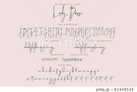 Handwritten script font vector alphabet Lady Boss set 61348524