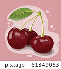 Vector illustration of few red cherry berries 61349083