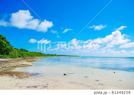 西桟橋ビーチ (竹富島・沖縄県) 西桟橋ビーチ (竹富島・沖縄県) 61349256