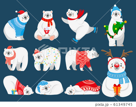 Christmas polar bears. Arctic bear with New Year gifts, happy snow animal in Merry Christmas sweater cartoon vector illustration set Christmas polar bears. Arctic bear with New Year gifts, happy snow animal in Merry Christmas sweater cartoon vector illustration set 61349745