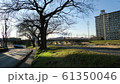 土手 61350046