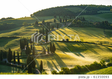 Tuscany - Landscape panorama, hills and meadow, Tuscany - Landscape panorama, hills and meadow, 61350093