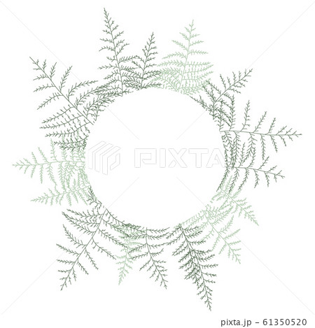 Natural background with bracken 61350520