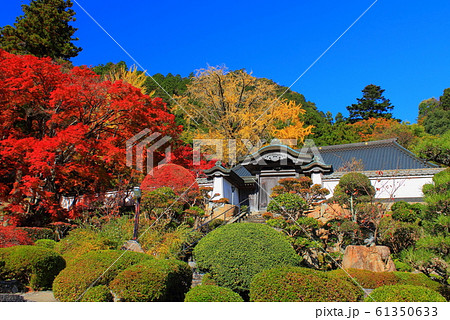 【香川県】 四国霊場 第88番札所 「大窪寺の紅葉」 61350633
