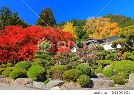 【香川県】 四国霊場 第88番札所 「大窪寺の紅葉」 【香川県】 四国霊場 第88番札所 「大窪寺の紅葉」 61350635
