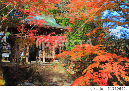 【香川県】 四国霊場 第88番札所 「大窪寺の紅葉」 61350642