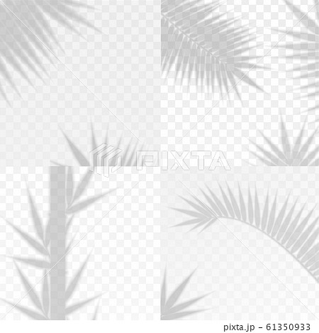 Bamboo and Palm Branches Leaves Overlay Effect Transparent Shadow Set. Vector Bamboo and Palm Branches Leaves Overlay Effect Transparent Shadow Set. Vector 61350933