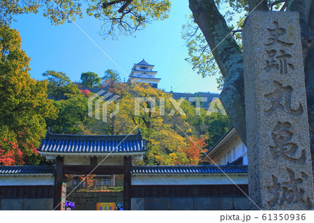【香川県】 丸亀城の紅葉 61350936