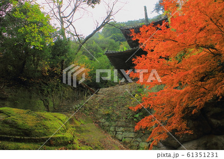 【香川県】 四国霊場 第71番札所 「弥谷寺」 多宝塔と黄葉 【香川県】 四国霊場 第71番札所 「弥谷寺」 多宝塔と黄葉 61351231