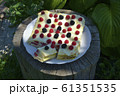 Gourmet homemade raspberry 61351535