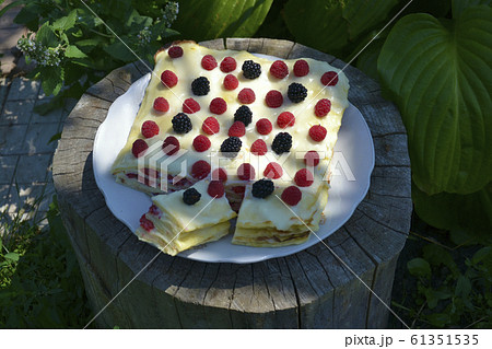 Gourmet homemade raspberry 61351535