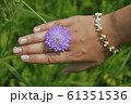 female hands with flower l 61351536