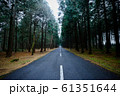 ずっと続く道 61351644
