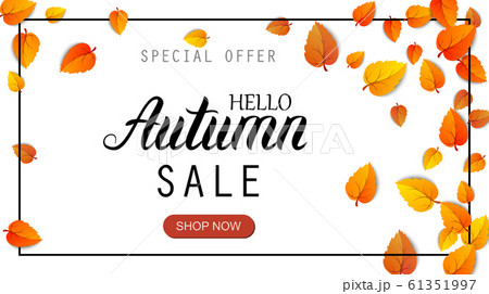 Hello autumn sale lettering banner. Special offer discount poster with fall golden leaves. Autumn seasonal design template shopping promotion advertising isolated on white. Vector illustration for web 61351997