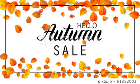Hello autumn sale lettering banner. Special offer discount poster with fall golden leaves. Autumn seasonal design template shopping promotion advertising isolated on white. Vector illustration ad sale 61352003
