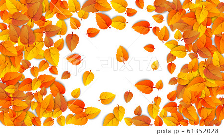 Autumn round advertising banner with leaves isolated on white background for autumn fall sale. Presentations frame layout decorated leaf for shopping sale or promo poster design. Vector illustration 61352028