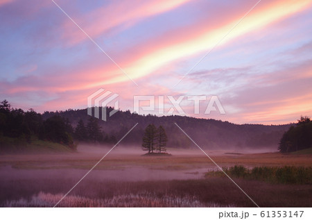 尾瀬の夜明け 61353147