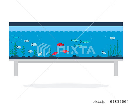 Aquarium with exotic fish flat isolated 61355664