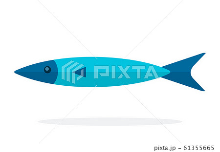 Atlantic fish sardines flat isolated Atlantic fish sardines flat isolated 61355665