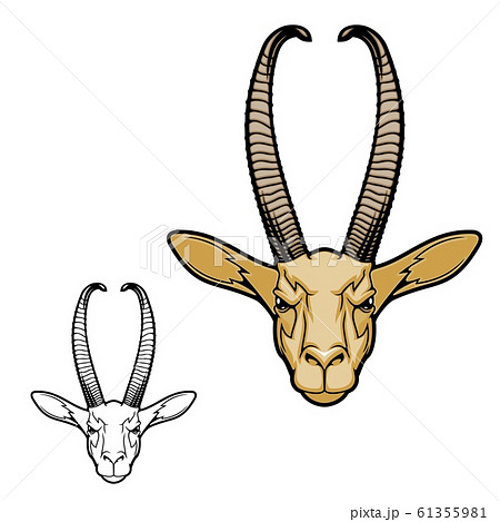 Gerenuk gazelle, african antelope animal 61355981