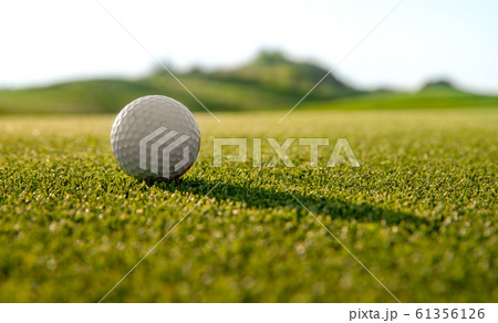 background of green grass 61356126