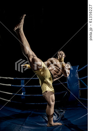 Thai boxer on boxing ring, kicking Thai boxer on boxing ring, kicking 61356227