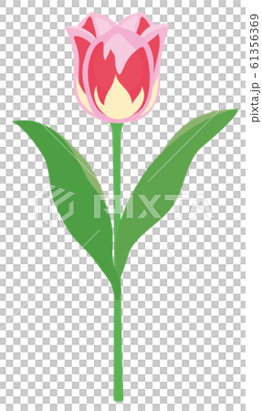 One pink tulip One pink tulip 61356369