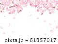 桜と散る花びらのフレーム　水彩イラスト 61357017
