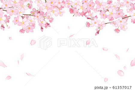 桜と散る花びらのフレーム 水彩イラストのイラスト素材